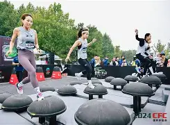 西汉姆联对战布莱顿赛事前瞻 西汉姆联对战布莱顿赛事前瞻