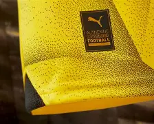 多特蒙德国际比赛日复出首秀西汉姆伤情更新备战欧篮联之后，转折点利物浦豪取连胜的简单介绍